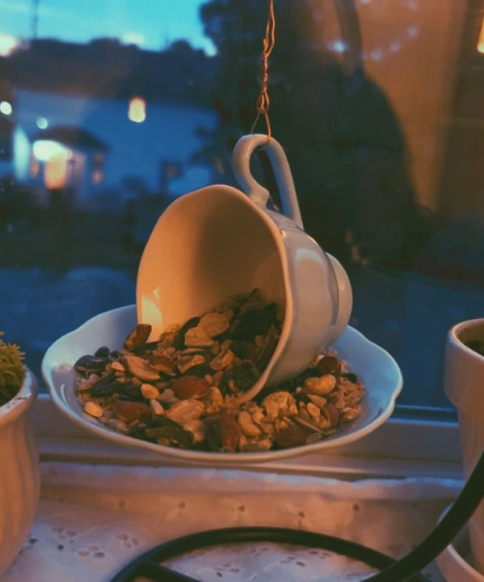 Tea cup bird feeder for garden