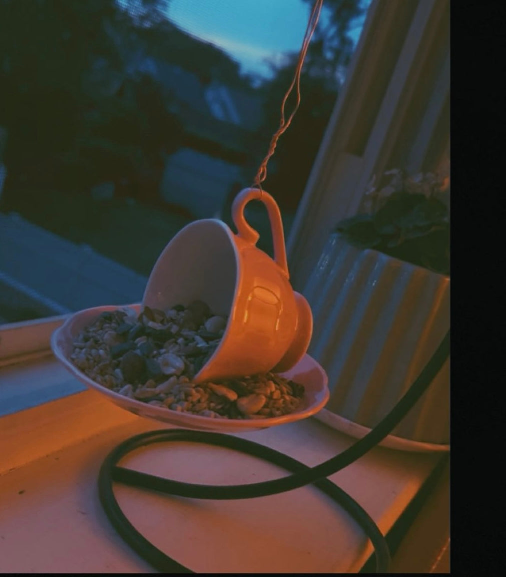 Pink tea cup bird feeder for garden