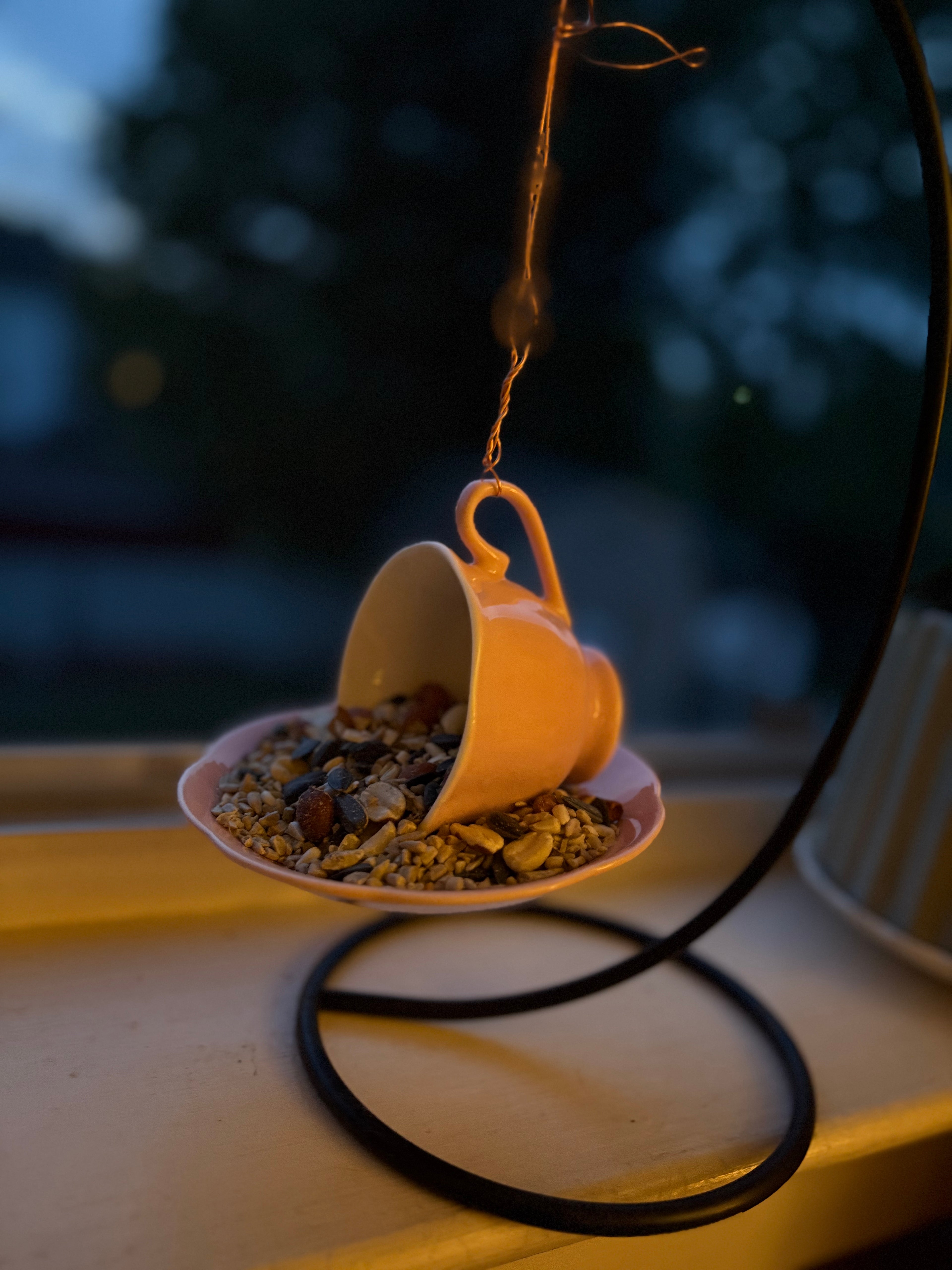 Pink tea cup bird feeder for garden
