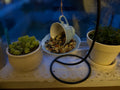 Tea cup bird feeder for garden