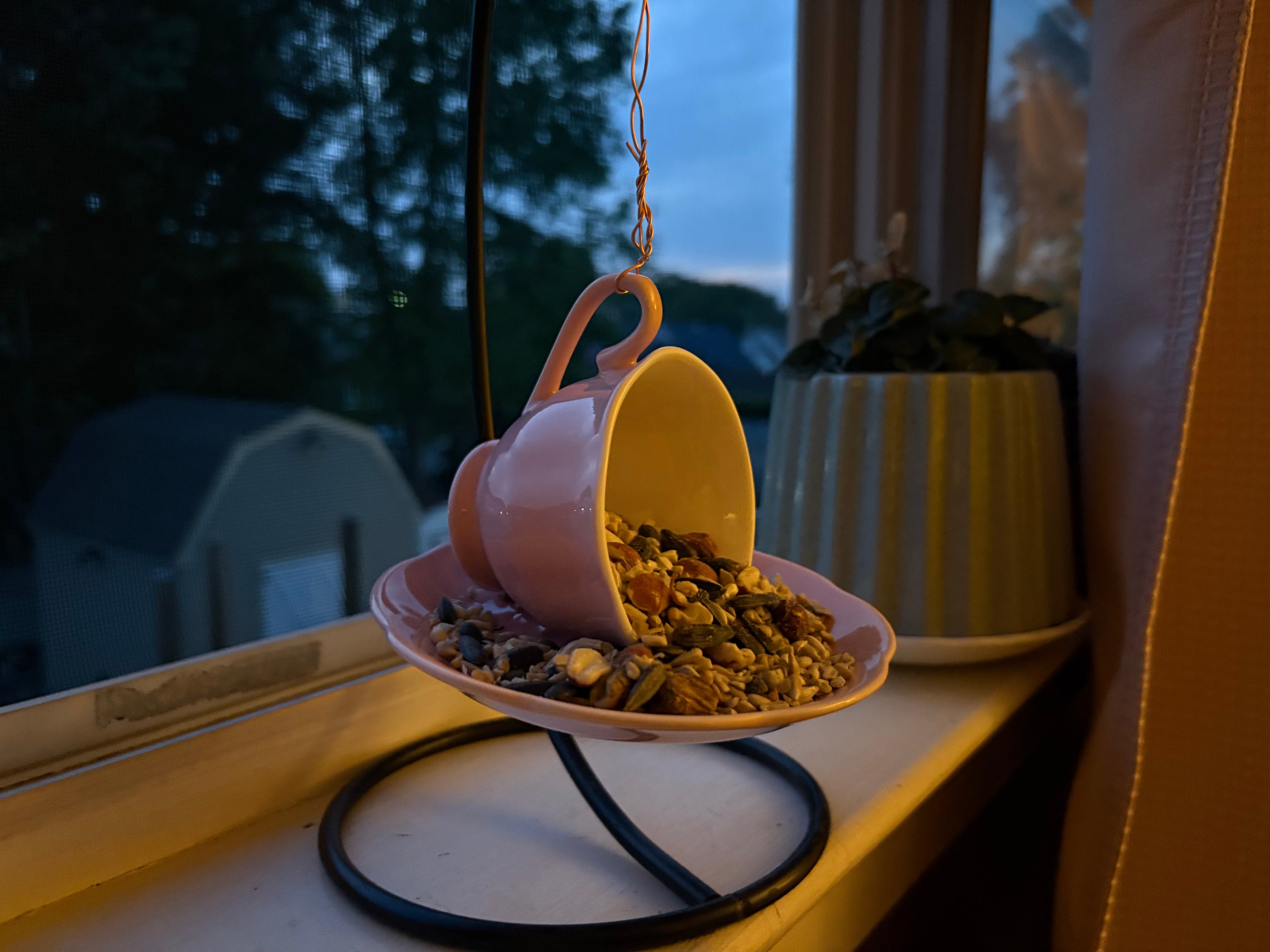 Pink tea cup bird feeder for garden