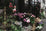 the garden bunny paints - Home